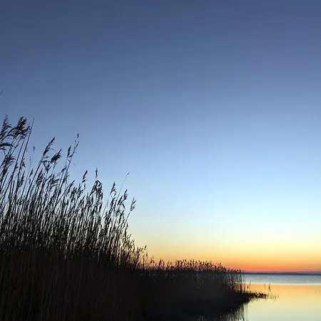 Bodden Breeze * גלווה